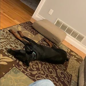 Meet your Posher, Ian